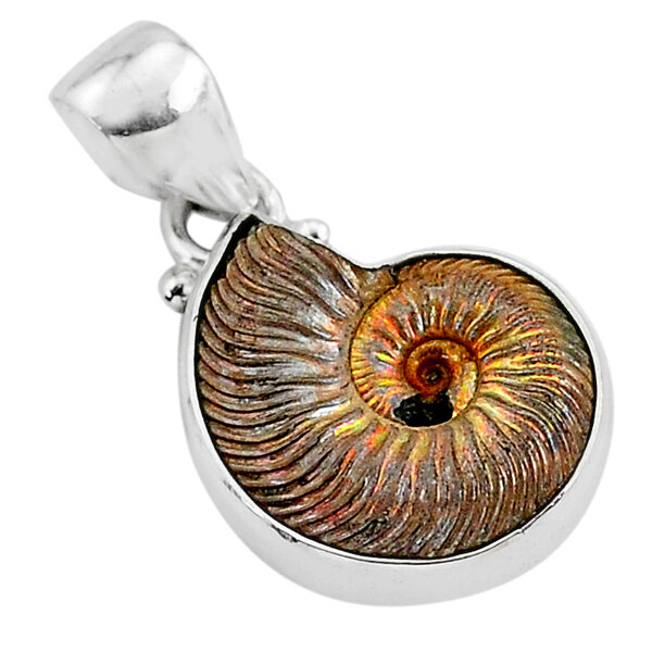 Ammonite. Silver. 2 cm.